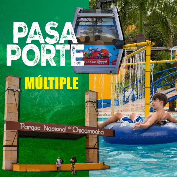 Pasaporte Multiple